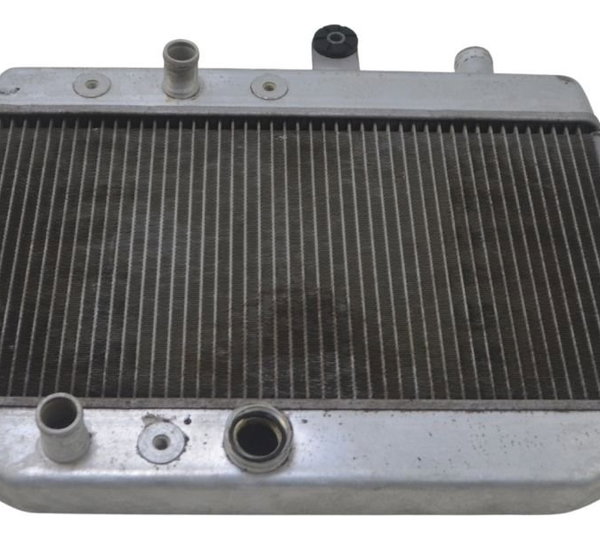 Radiador Suzuki Burgman 400 09-12 Original