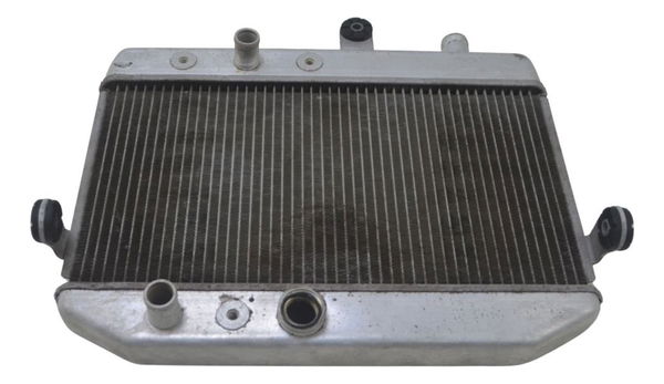 Radiador Suzuki Burgman 400 09-12 Original