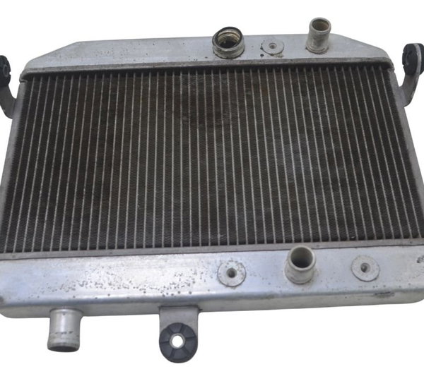 Radiador Suzuki Burgman 400 09-12 Original