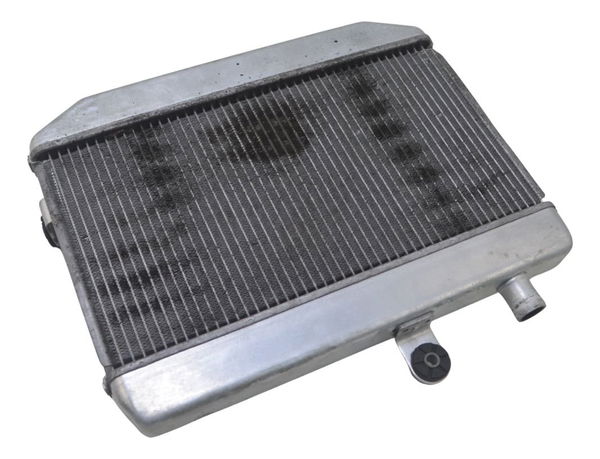 Radiador Suzuki Burgman 400 09-12 Original