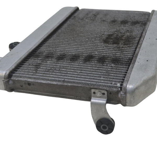 Radiador Suzuki Burgman 400 09-12 Original