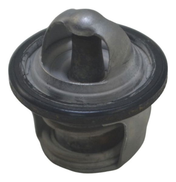 Válvula Termostática Suzuki Burgman 400 09-12 Original