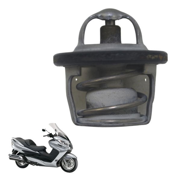 Válvula Termostática Suzuki Burgman 400 09-12 Original