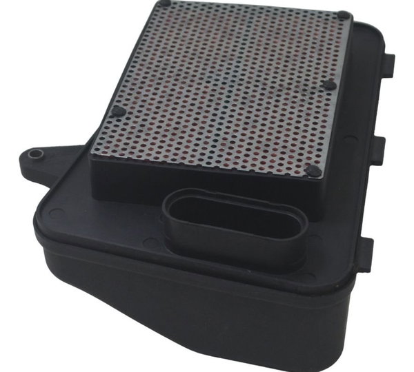 Filtro Ar Suzuki Burgman 400 09-12 Original