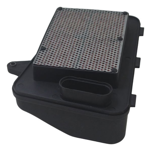 Filtro Ar Suzuki Burgman 400 09-12 Original