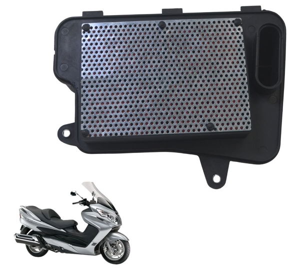 Filtro Ar Suzuki Burgman 400 09-12 Original