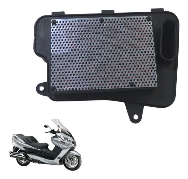 Filtro Ar Suzuki Burgman 400 09-12 Original