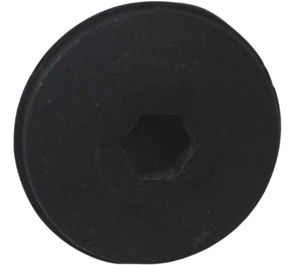 Parafuso Tampa Cabeçote Suzuki Burgman 400 09-12 Original