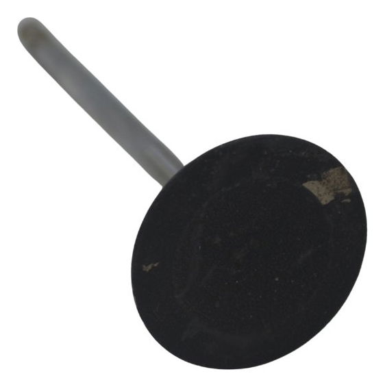 Válvula Admissão Bmw F 850 Gs Adv 19-24 Original