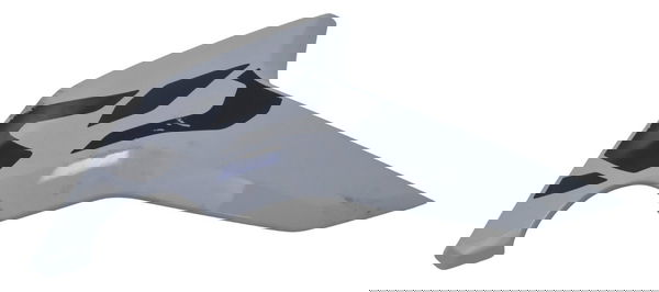 Carenagem Acabamento Tanque Esq C/detal Bmw F 750 Gs 21-24