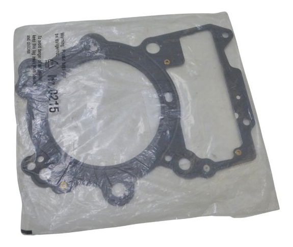 Junta Cabeçote Bmw R1200 Gs Adv 13-19 Original