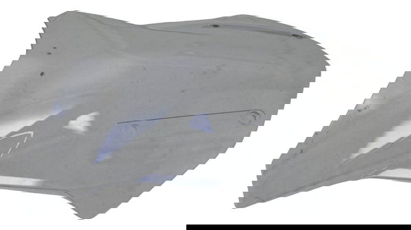 Parabrisa Bolha C/ Avaria Bmw R 1250 Gs Adv 19-24 Original