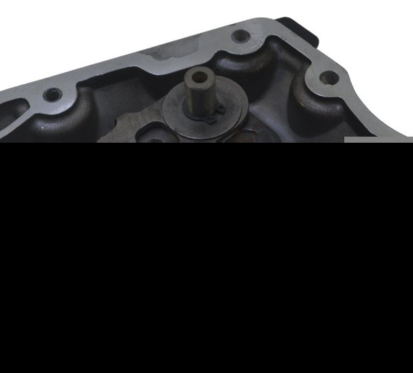 Tampa C/eixo Seletor Marcha Bmw R 1250 Gs Adv 19-24 Original