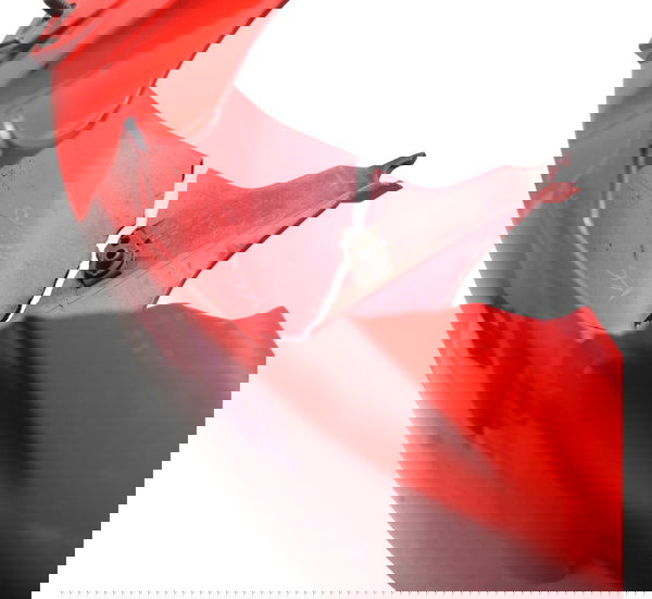 Paralama Dianteiro C/avaria Honda Cbr 1000 Rr 04-07 Original Dianteira