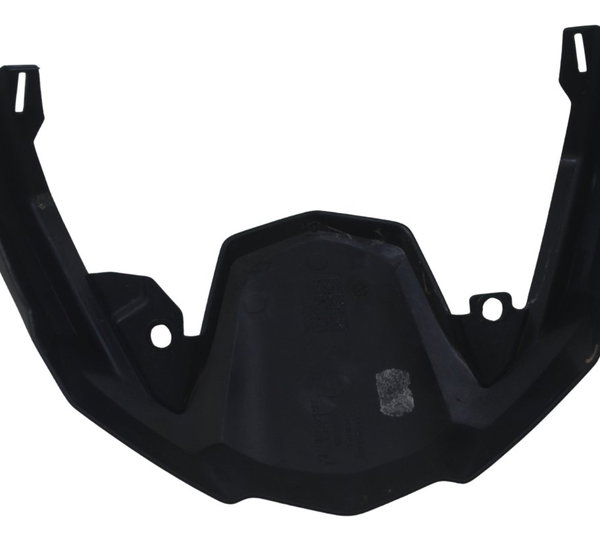 Acabamento Bico Frontal Bmw R 1250 Gs Adv 19-24 Original