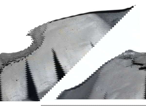 Paralama Traseiro C/avaria Honda Cbr 1000 Rr 04-07 Original Traseira