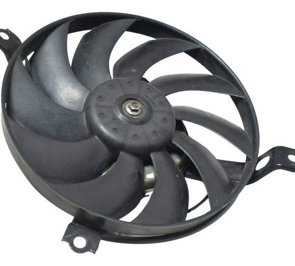 Ventoinha Radiador Honda Cbr 1000 Rr 04-07 Original
