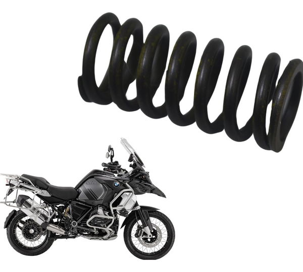 Mola Embreagem Bmw R 1250 Gs Adv 19-24 Original