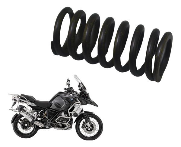 Mola Embreagem Bmw R 1250 Gs Adv 19-24 Original