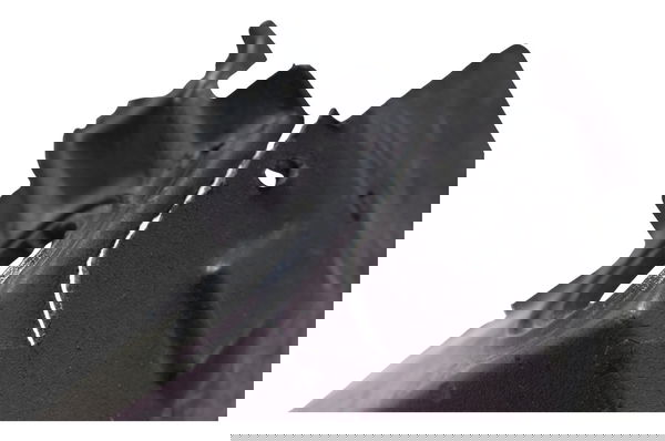 Capa Servo Motor C/avaria Honda Cbr 1000 Rr 04-07 Original