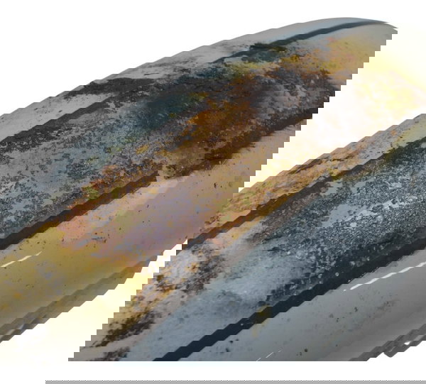 Paralama Dianteiro C/detal Royal Enfield Classic 350 22-25 Dianteira