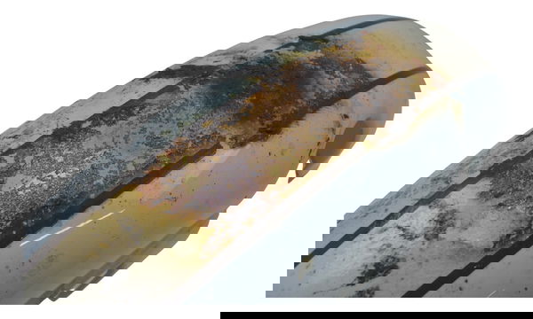 Paralama Dianteiro C/detal Royal Enfield Classic 350 22-25 Dianteira