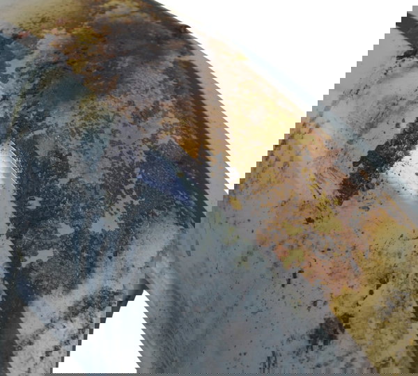 Paralama Dianteiro C/detal Royal Enfield Classic 350 22-25 Dianteira