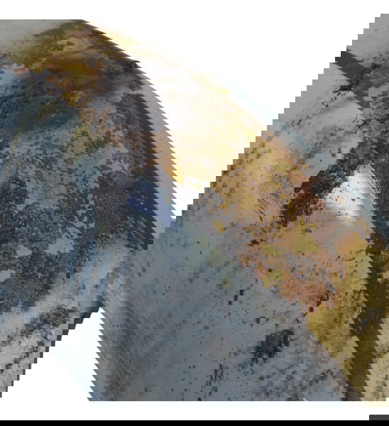 Paralama Dianteiro C/detal Royal Enfield Classic 350 22-25 Dianteira