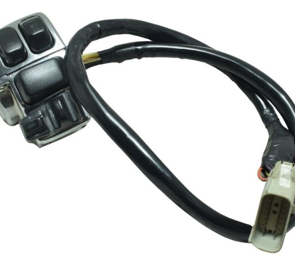 Chave Punho Luz Harley Electra Touring Cvo 12-13 Original