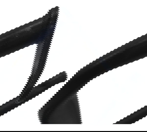 Protetor Motor Dir C/detal Royal Enfield Classic 350 22-25