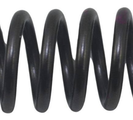 Mola Embreagem Harley Touring M8 17-22 Original