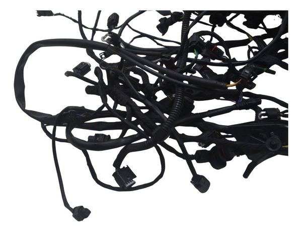 Chicote Principal C/ Avaria Bmw R 1250 Gs 19-24 Original