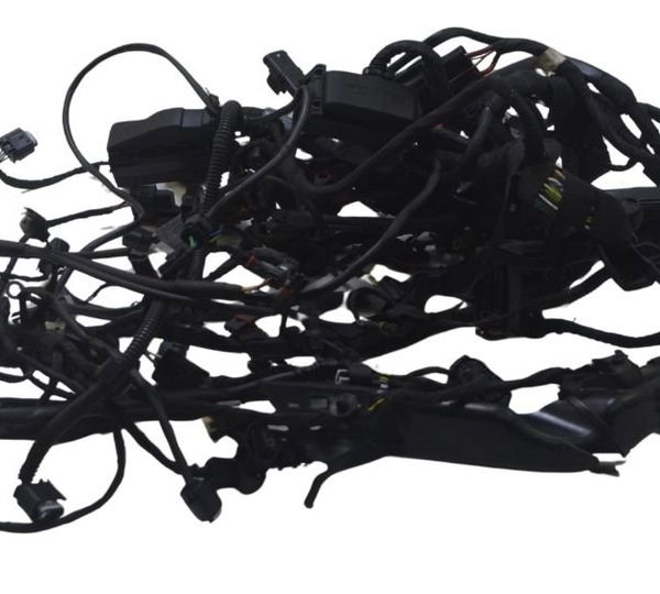 Chicote Principal C/ Avaria Bmw R 1250 Gs 19-24 Original