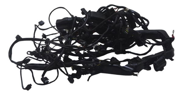 Chicote Principal C/ Avaria Bmw R 1250 Gs 19-24 Original