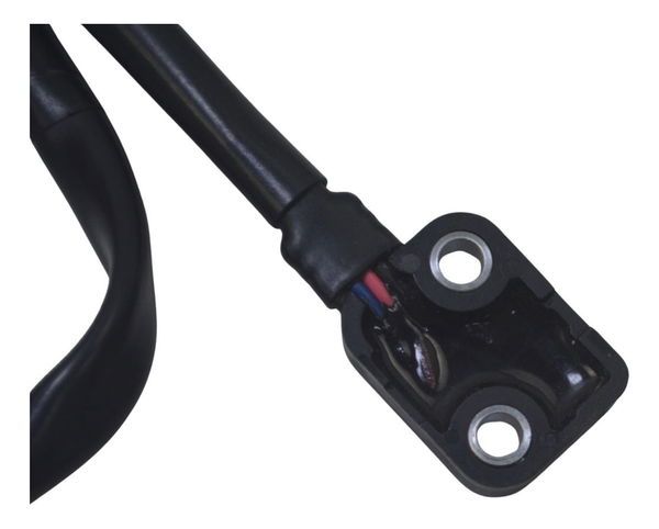 Sensor Luz Freio Triumph Tiger 900 Rally Pro 20-24 Original