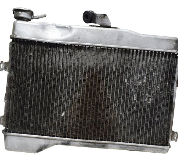 Radiador C/avaria Yamaha Mt 07 15-18 Original