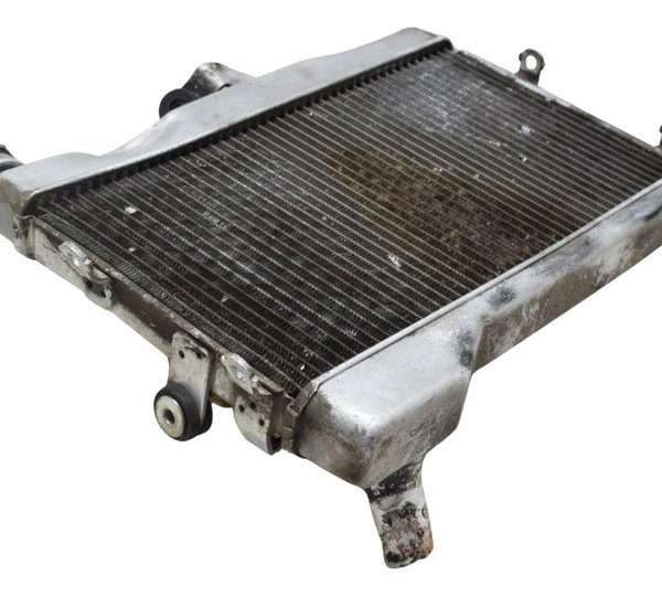 Radiador C/avaria Yamaha Mt 07 15-18 Original