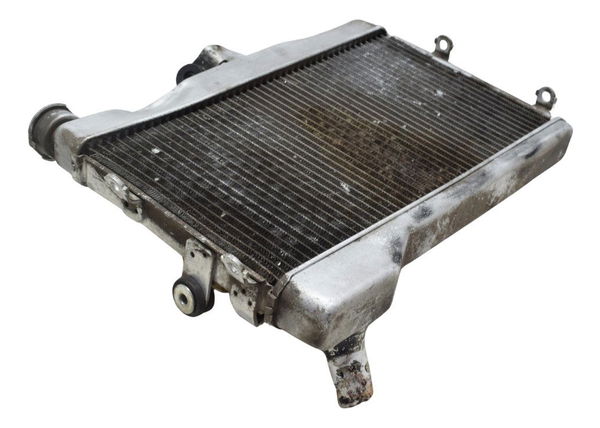 Radiador C/avaria Yamaha Mt 07 15-18 Original