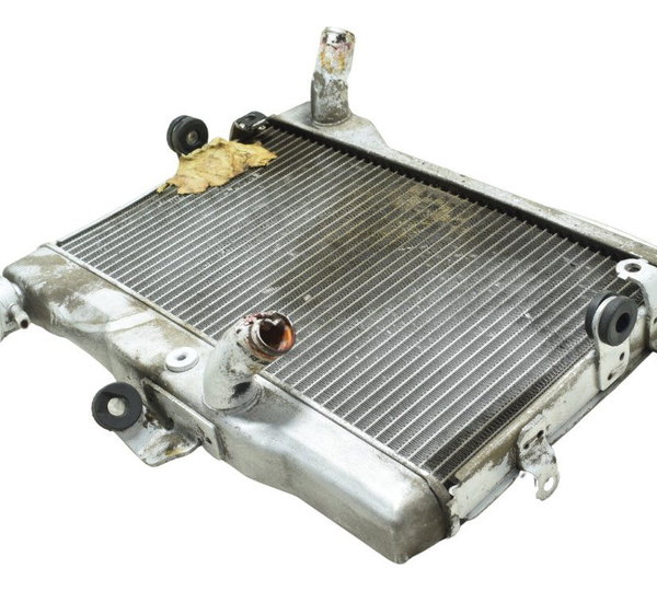Radiador C/avaria Yamaha Mt 07 15-18 Original