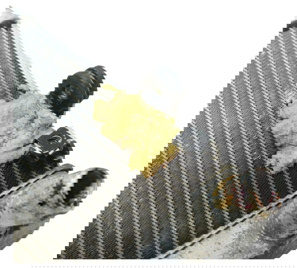 Radiador C/avaria Yamaha Mt 07 15-18 Original