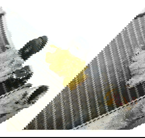 Radiador C/avaria Yamaha Mt 07 15-18 Original