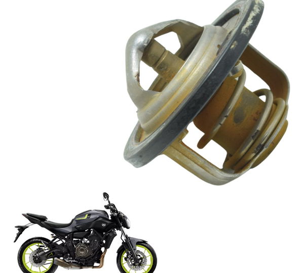 Válvula Termostática Yamaha Mt 07 15-18 Original