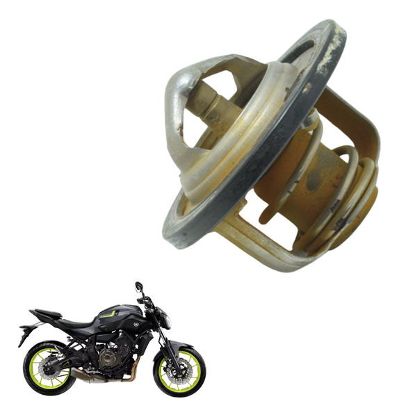 Válvula Termostática Yamaha Mt 07 15-18 Original