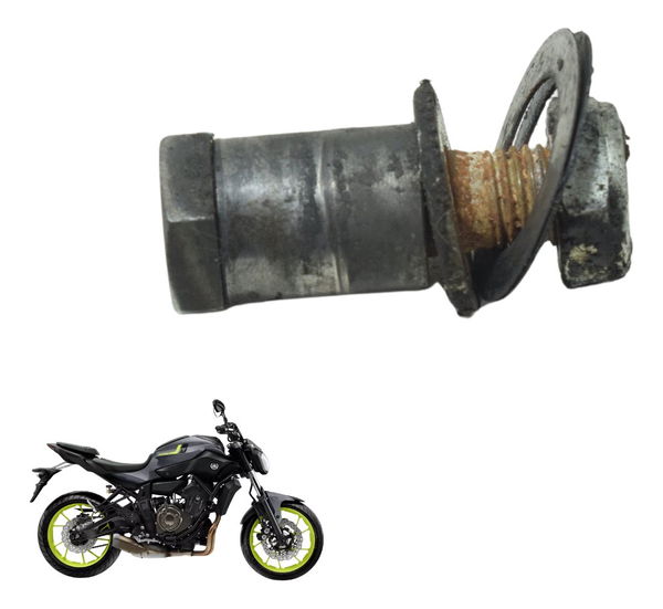 Parafuso Pedal Descanso Lateral Yamaha Mt 07 15-18 Original