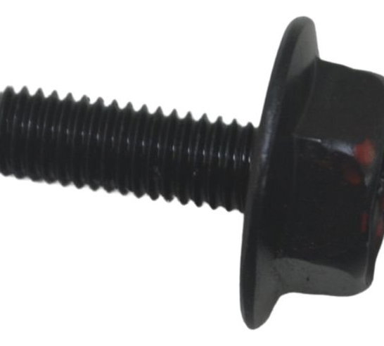 Parafuso Virabrequim Direito Kawasaki Zx 10r 05-06 Original