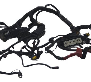 Chicote Principal C/avaria Bmw R 1200 Gs 08-12 Original