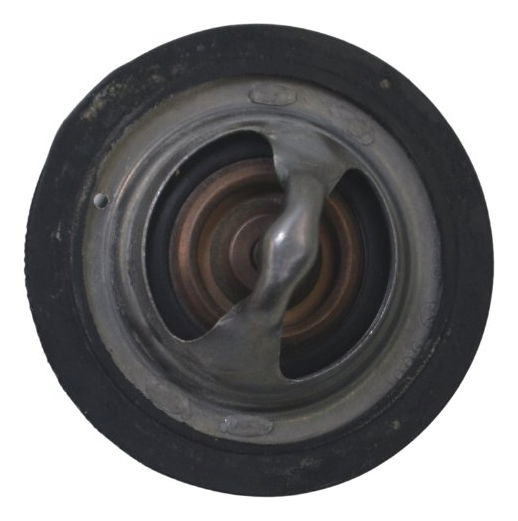 Válvula Termostática Bmw F 850 Gs Adv 19-24 Original