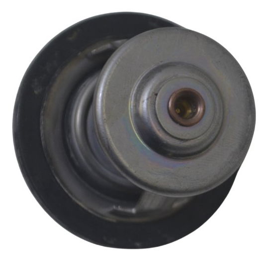 Válvula Termostática Bmw F 850 Gs Adv 19-24 Original