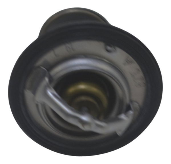 Válvula Termostática Honda Nc 750x 16-21 Original