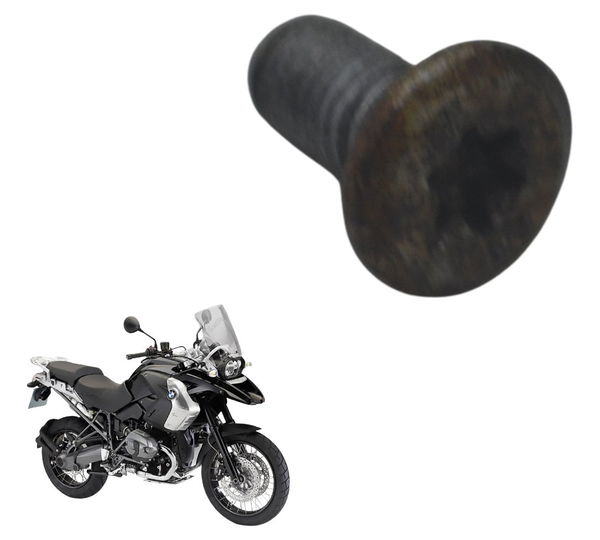 Parafuso Disco Freio Traseiro Bmw R 1200 Gs 08-12 Original